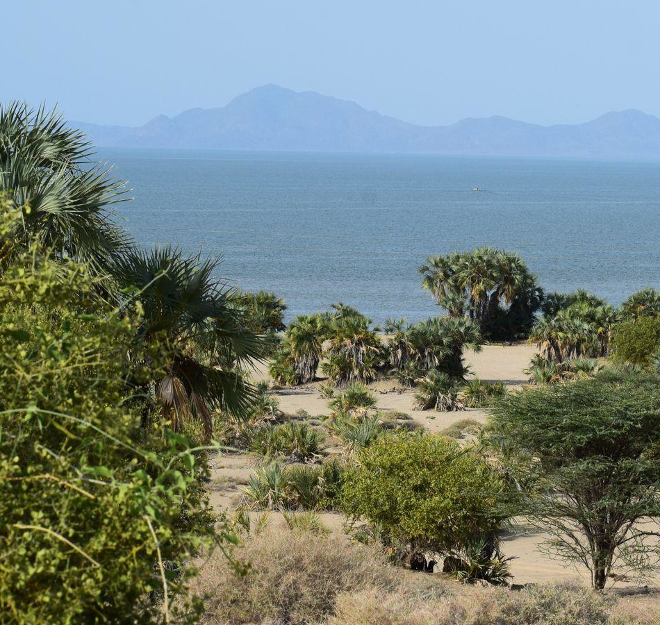 Tourism & Hospitality
