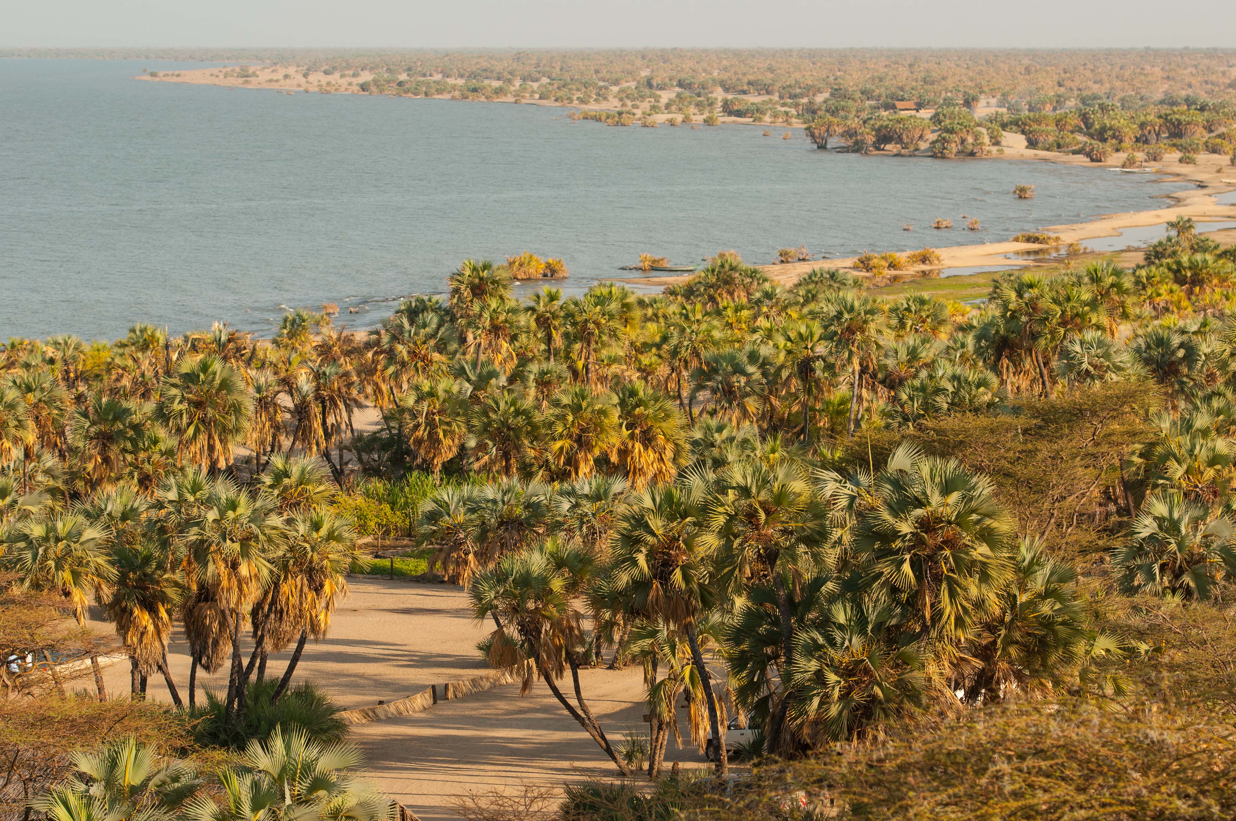 Turkana